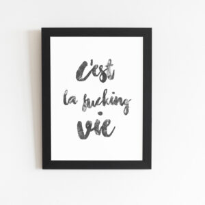 cest la fucking vie